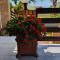 Villa Majestic for Exclusive Accommodation