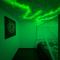 The Jungle SPA Strasbourg