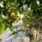 Ferdirisa Vesuvio Home&Garden