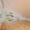Holiday Home Francis - 380m from the sea by Interhome - Frørup