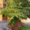 Apartment La Corleta di Sot by Interhome