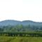 洛特梅森住宿加早餐旅馆 - Saint-Jean-de-Ceyrargues