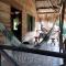 ECOCABAÑAS DIOSA JAGUAR tayrona
