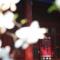East Sacred Hotel-easy to findᴮᵉⁱʲⁱⁿᵍᒼᵉⁿᵗᵉʳ丨Near Tiananmen Forbidden City丨close to Metro Zhangzizhong And Beixinqiao丨 Free laundry service coffee drinks mineral water and snacks丨English language Tourism ticket service small change - 北京