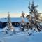 Unique new cabin by Hafjell & Skei with stunning view