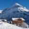 Chalet Alia and Apartments-Grindelwald by Swiss Hotel Apartments