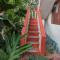 Delight Homestays Coorg