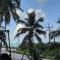 Palms 317