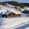 Moderne ski-in & ski-out hytte i Valdres, Norge - alt inkludert for ditt fjelleventyr