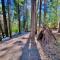 Cabin in the Trees - Hot Tub - Pollock Pines