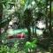 Daintree Secrets Rainforest Sanctuary - Diwan