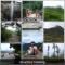 Dreamscape home stay