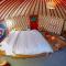 Nomad Yurts
