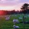 Jilly Park Farm Hands-On Experience Discover Authentic Farm Life Complimentary Breakfast Included - Buln Buln