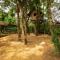 Neelambari Ecotoursm