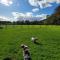 New Forest Bees Holiday Home, Bashley