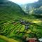 Batad Transient House - Banaue