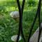 La Tiny House de la Bergerie