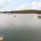 Lowarth Chi - Fowey