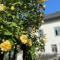 Gut Bunt Ferienhaus