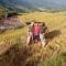 Ha Giang Yolo House and Loop Tours - 河江