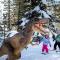 Mountain Chalet Chapeau