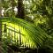 Mt Warning Rainforest Park