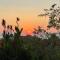 Ausblick Lazise Gardasee - Ferienhaus mit Seeblick, Infinity Pool, Garten und Garage