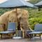 Barefoot Addo Elephant Lodge - Luxury Family Villa