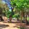 Camping Roca Grossa