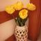 Charming apartment in São Pedro do Sul 30 m² with lake view - Сан-Педру-ду-Сул