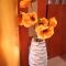 Charming apartment in São Pedro do Sul 30 m² with lake view