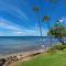 Kanai a Nalu 314 - Newly Renovated, Oceanfront, AC - Wailuku