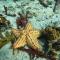 Splendid San Blas - All Inclusive