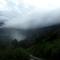 Neelakurunji Plantation Munnar - Chinnakanal