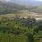 Neelakurunji Plantation Munnar - Chinnakanal