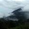 Neelakurunji Plantation Munnar - Chinnakanal