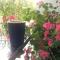 LA GAI HOMESTAY HOI AN