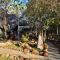 Royal Marlothi Kruger Safari Lodge and Spa - Marloth Park