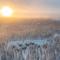 Polaris Igloo by Aavalevi Holidays