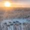 Polaris Igloo by Aavalevi Holidays