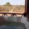 Marloth Kruger View
