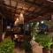 Noah Hostel & Chale
