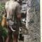 Tharu Community Home Stay