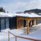 Chalet Stuhleckblick-Ferienhaus direkt an der Piste und mit eigener Sauna