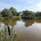 Rhedyn - Cosy Fishing Lodge Near Aberaeron - Cross Inn