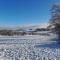 Rhedyn - Cosy Fishing Lodge Near Aberaeron - Cross Inn