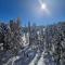 Woodside Kopaonik by Ister