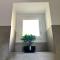 Alocasia luxury stay