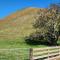 The Headland Lodge - Gisborne